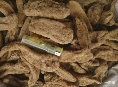 天麻安徽亳州譙城區(qū)_批發(fā)_供應(yīng)-一畝田農(nóng)業(yè)網(wǎng)_專業(yè)的農(nóng)產(chǎn)品信息商務(wù)平臺