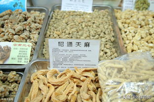 七彩云南 云南知名特產大盤點