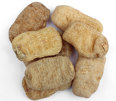 野生天麻與家種天麻的區(qū)別