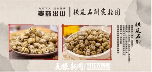 讓 貴山珍草 成為鄉(xiāng)村振興的 助推器