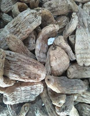 撫遠縣大型中草藥種植廠家 優(yōu)質(zhì)精選天麻批發(fā)與現(xiàn)貨供應