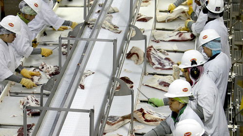 美國(guó)肉類(lèi)工廠疫情危機(jī) 570人集體感染新冠，疫情期間被迫開(kāi)工的背后